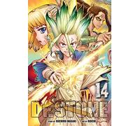 Boichi - Dr. Stone, Vol. 14: Volume 14 (DR STONE GN)