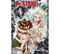 BOICHI Riichiro Inag Dr. Stone 4: Verrückte Abenteuer, Action und (Tapa blanda)