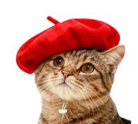 Boina para Perros,Gorro Ajustable para Mascotas,Boina de Disfraz - para Teatro Representación Fiesta de Vacaciones Cosplay Espectáculo Escenario Reunión Familiar Mascarada Festival Celebración