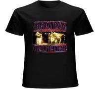 BOINAITS Men's T Shirt Temple of The Dog Twin Needle Sleeves and Hem Black XL