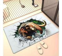 boiszeda Alfombra para Decorar su Dormitorio o Sala de Estar con Impactantes Imágenes 3D en Suave Vellón de Cristal