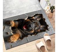 boiszeda Alfombra para Decorar su Dormitorio o Sala de Estar con Impactantes Imágenes 3D en Suave Vellón de Cristal