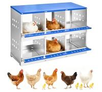 Boîte de Nidification pour poules et canards en métal galvanisé - 6 compartiments - Aérations, perchoir intégré - Installation peinture muralee ou au Sol - Ramassage facile Des œufs - Sans couvercle,