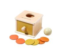 Boîte de permanence d'objet - Jeu éducatif de développement des compétences motrices fines | Jouet interactif pour tout-petits, puzzle coloré, activité d'apprentissage préscolaire amusante