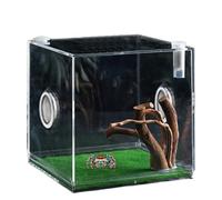 Boîtier d'araignée à sauter, récipient de reptile y distante transparente, Terrarium acrylique pour la croissance des araignées sautant, Petit conteneur animaux compagnie polyvalent coléoptè
