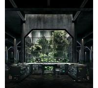 Bok Bok-Your Charizmatic Self