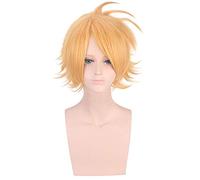 Boku no Hero Academia Cosplay disfraz uniforme escolar my hero academia disfraces Escuela Ropa deportiva manga corta Tops + Pantalones + pelucas One Size denki