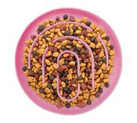 Bol Anti-Glouton Pour Chien Et Chat - Assiette En Silicone Alimentation Lente | Gamelle Antidérapante Pour Croquettes Et Pâtée | Prévient Vomissements Et | Tapis De Repas (15cm)