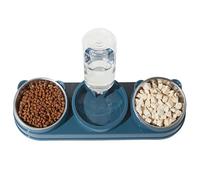Bol d'alimentation pour animaux de compagnie de -5,5 pouces Cat surélevé pour une alimentation confortable, d'eau non glissante et de mangeoire de nourriture avec une fonction facile, bols d'animaux p