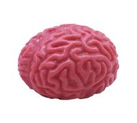 Bola Antiestrés Cerebral - Juguete de Prensa de Halloween Lento, Órgano Falso Realista, Juguete Sensorial en Forma De Cerebro, Bola Antiestrés Suave para la ansiedad, Ejercicios de Manos, Agitati