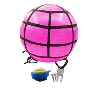 Bola de ejercicio de PVC - Bola suiza de ejercicio de 65 cm para acondicionamiento físico, bolas de estabilidad anti -burbujas con bomba, correas y accesorios, ideal para yoga, pilates, fuerza central