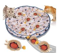 Bola de Juguete Interactivo para Gatos con Estera, Juguete para Gatos Interactivos, 2 en 1 Juguete de Caza para Gatos, Bola Interactiva para Gatos Estera de Gato de Caza de Juguete Interactivo Gato