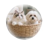 Bola De Ultrasonido Personalizada | Grabado Dentro del | Marco De Fotos Personalizado, Transparente con Cristales 100 Mm, Un Regalo Conmemorativo Único para