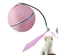 Bola para Gatos Kit De Entrenamiento Para Gatitos Con Movimiento Automático