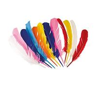 BOLAND 44135 indios plumas de colores surtidos, unisex de adulto, 30 cm