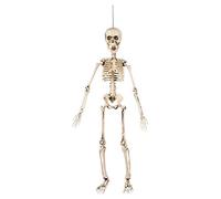 Boland 72037 Esqueleto articulado Decoración, Blanco, 50 cm