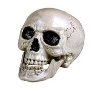 Boland-29320 Decoración Cráneo Maxilla con mandíbula abierta, color blanco, Normal (Ciao Srl 29320)