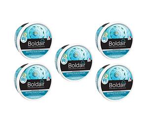 BOLDAIR Lote de 5 botes de gel destructores de olores de 300 g, 8 semanas, grande