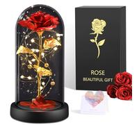 BOLEi Rosa eterna para ella, rosa de la Bella y la Bestia, rosa eterna en cristal con LED, boda para ella, regalos de cumpleaños para ella, regalo de rosa preservada para ella, mamá, abuela