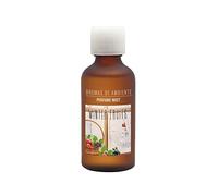 Boles d'olor Ambient Brumas Winter Fruits 50ml fragancia para difusores de aroma