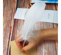 Bolígrafo de pluma de tinta negra, pluma vintage de pluma de pluma refinada chapada en barra para escribir en la escuela, regalo de boda y firma (blanco)