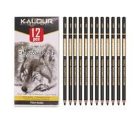 Bolígrafos profesionales de carbono de alto brillo, lápices de bocetos, herramientas de pintura artística, adecuados para dibujar y marcar marcas (12 negros)