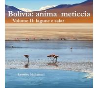 Bolivia: anima meticcia: Volume II: lagune e salar (Dreamtime)