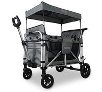 Bollerwagen Fuxtec CTXL900, Carro Plegable Family Gris Premium, el Original, Family Fux, Carro de jardín de 4 plazas, Asiento extraíble, Transporte, Playa, Tirar o Empujar, Capacidad de Carga 75 kg