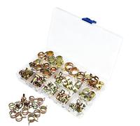 Bollisate Kit Surtido de Abrazaderas para Manguera,100 Piezas Para Prevención De Fugas | Kit de Abrazaderas Pequeñas con Estuche | Para Espacios Reducidos Reparación De Motor Fontanería Cortacésped