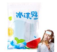 Bollisate Parches Refrescantes Para Adultos - Compresas Frías Adhesivas,Juego De 10 Parches Refrescantes Instantáneos Para Deportes Viajes Camping Senderismo Pesca Entrenamiento