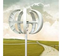 Bollomgy Generador de viento, 600 W, 24 V, turbina eólica, farol vertical, controlador de turbina de viento, turbina de viento con 5 aspas