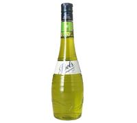 BOLS - Kiwi 70 uténtico sabor natural con zumo fresco, ideal para cócteles modernos, combinados creativos y postres, imprescindible en bares y coctelería profesional