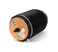 Arnott Europe Muelle neumático, suspensión para AUDI: S7, S6, RS7, RS6, A6, A7 (Ref: A-3891)