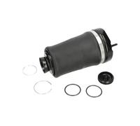 KAVO PARTS SAS-10004 Muelle neumático, suspensión