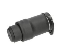 KAVO PARTS SAS-10021 Muelle neumático, suspensión