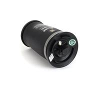 Arnott Muelle neumático A-2755 Suspensión posterior