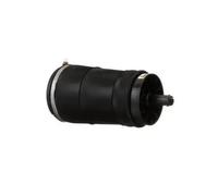 Fuelle neumático, suspensión ARNOTT EUROPE A-3027