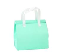 Bolsa de almuerzo aislada, bolsa no tejida for alimentos, pasteles, bebidas, paquete 10, varios tamaños, multicolor(Grün,26x26x17cm)