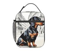 Bolsa de almuerzo aislada portátil con estampado de perro salchicha parisino, reutilizable, bolsa de comida, trabajo, viajes, pícnics al aire libre, casual