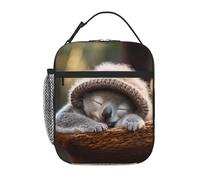 Bolsa de almuerzo con estampado de koala durmiendo para oficina, trabajo, picnic, lonchera aislada reutilizable para adultos