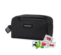Bolsa de almuerzo congelable, bolsa de bocadillos congelable, mini bolsa para viajes, trabajo, escuela, bolsa de aperitivos aislada, caja de aperitivos congelable con hebilla de asa