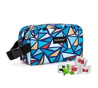 Bolsa de almuerzo congelable, bolsa de bocadillos congelable, mini bolsa para viajes, trabajo, escuela, bolsa de aperitivos aislada, caja de aperitivos congelable con hebilla de asa