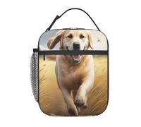 Bolsa de almuerzo reutilizable con diseño de perro corriendo entre juncos para mujer, linda bolsa de almuerzo para adultos y hombres, a prueba de fugas, ideal para el trabajo, la oficina, viajes y
