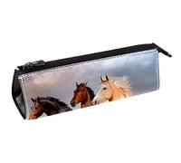 Bolsa de bolígrafos con diseño de caballo en arena, bolsa de papelería, bolsa de cosméticos, bolsa compacta con cremallera, multicolor, 5.5 ×6 ×20CM/2.2x2.4x7.9 in, Organizador de bolsas