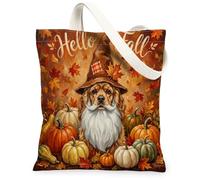 Bolsa de lona de 13 x 15 pulgadas, diseño de gnomo de perro Cocker Spaniel de otoño, calabaza, hoja de arce, reutilizable, para mujer, pintura estética y decoración de regalo