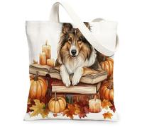 Bolsa de lona para compras de 13 x 15 pulgadas, diseño de perro Collie de otoño, diseño de calabaza, reutilizable, para mujeres, decoración de regalo