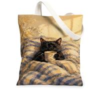 Bolsa de lona para gatos para mujer, acogedora y lujosa, color beige, lavable, reutilizable, ideal para viajes al aire última intervensión, día de trabajo, lectura, 13 x 15 pulgadas
