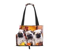 Bolsa de Mano para Mascotas, Bolso de Mano portátil de Viaje para Perros con Hebilla de Metal de Seguridad para Caminatas en el Metro, Cachorros Pug