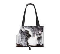 Bolsa de Mano para Mascotas, Bolso de Mano portátil de Viaje para Perros con Hebilla de Metal de Seguridad para Caminatas en el Metro, Coala