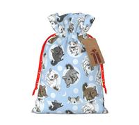 Bolsa de moda con estampado de chinchillas azules y lunas, bolsa ligera con cordón y etiqueta de papel kraft para Navidad, Halloween
